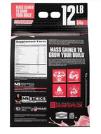 NutraBio Mass Gainer XL